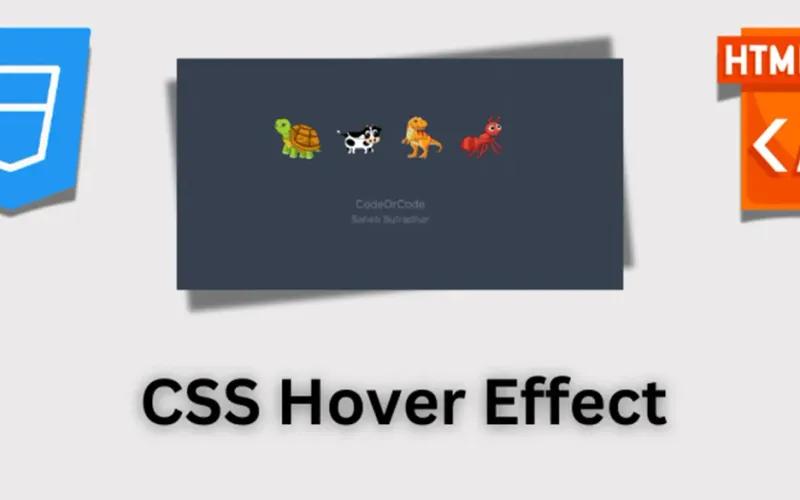 Hover CSS - Bí quyết tạo hiệu ứng web tương tác đỉnh cao